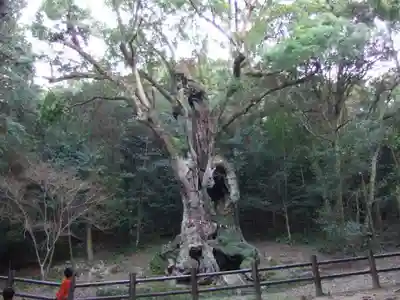 武雄神社(佐賀県)