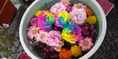 北海道護國神社の手水舎