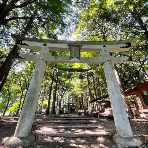 宝登山神社奥宮の鳥居