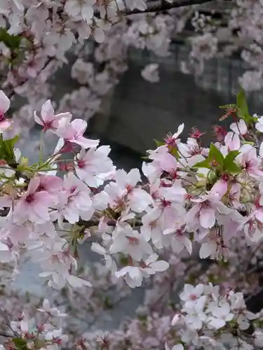 東光寺(東京都)