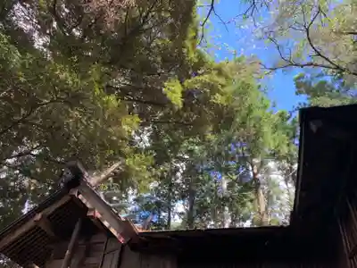 輝窟神社(千葉県)