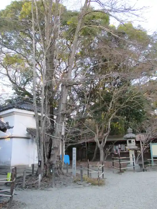 梨木神社(京都府)
