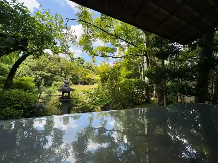 退蔵院(京都府)