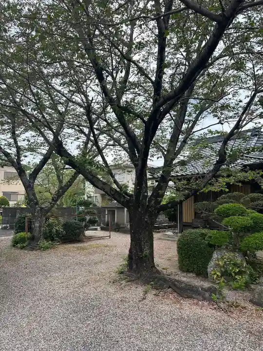 東日寺(三重県)