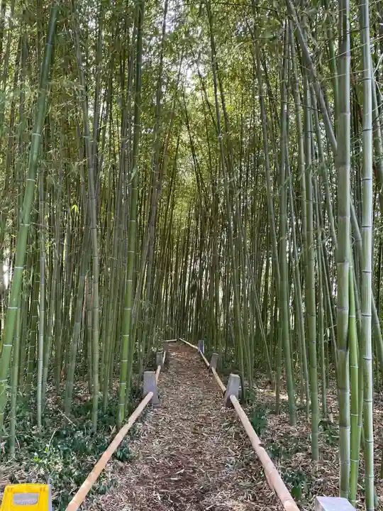 鹿王院(京都府)