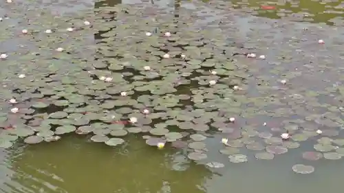 平等院の庭園