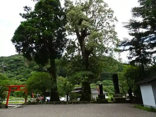 巖島神社の自然