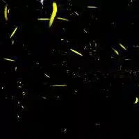 諫早神社(九州総守護 四面宮)(長崎県)