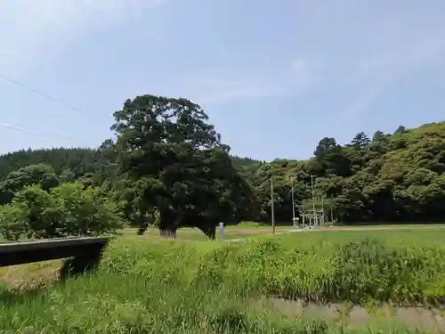 春日神社の景色