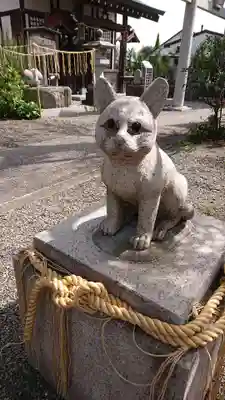 阿豆佐味天神社 立川水天宮の狛犬