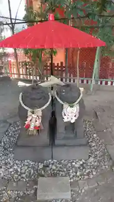 浅草神社の狛犬