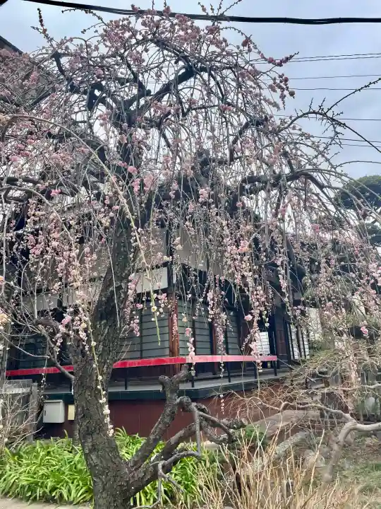 法輪寺の{uncategorized: "未分類", other: "その他", undefined: "問題あり", building: "その他建物", grave: "お墓", sacred_gate: "鳥居", guardian: "狛犬", statue: "像", buddha: "仏像", history: "歴史", nature: "自然", garden: "庭園", animal: "動物", pagoda: "塔", temizu: "手水舎", mountain_gate: "山門・神門", sanctuary: "本殿・本堂", subordinate: "末社・摂社", art: "芸術", scenery: "景色", jizo: "地蔵", ema: "絵馬", goshuin: "御朱印", omikuji: "おみくじ", items: "授与品その他", amulet: "お守り", goshuincho: "御朱印帳", eats: "食事", festival: "お祭り", votive_dance: "神楽", shichigosan: "七五三参", wedding: "結婚式", experience: "体験その他", initially: "初詣", around: "周辺", anti_infection: "感染症対策"}