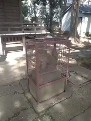 熊野神社(東京都)