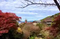 清水寺の建物その他