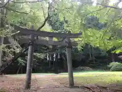 天鷺神社の鳥居