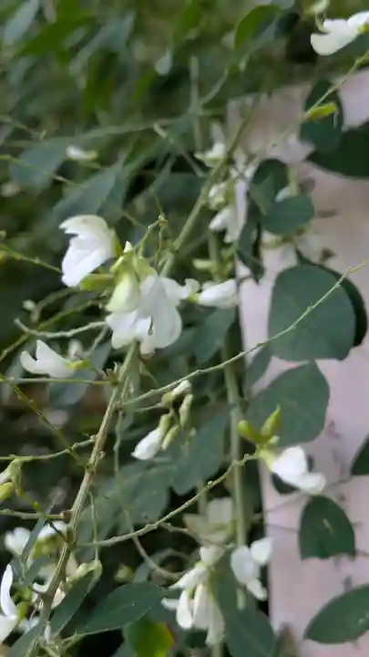 梨木神社(京都府)