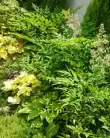 寿量山 速成寺の自然