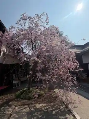 太道教本部の{uncategorized: "未分類", other: "その他", undefined: "問題あり", building: "その他建物", grave: "お墓", sacred_gate: "鳥居", guardian: "狛犬", statue: "像", buddha: "仏像", history: "歴史", nature: "自然", garden: "庭園", animal: "動物", pagoda: "塔", temizu: "手水舎", mountain_gate: "山門・神門", sanctuary: "本殿・本堂", subordinate: "末社・摂社", art: "芸術", scenery: "景色", jizo: "地蔵", ema: "絵馬", goshuin: "御朱印", omikuji: "おみくじ", items: "授与品その他", amulet: "お守り", goshuincho: "御朱印帳", eats: "食事", festival: "お祭り", votive_dance: "神楽", shichigosan: "七五三参", wedding: "結婚式", experience: "体験その他", initially: "初詣", around: "周辺", anti_infection: "感染症対策"}