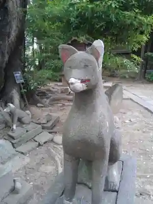 半田稲荷神社の狛犬