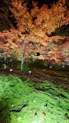 宝厳院(京都府)