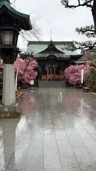 桜神宮の{uncategorized: "未分類", other: "その他", undefined: "問題あり", building: "その他建物", grave: "お墓", sacred_gate: "鳥居", guardian: "狛犬", statue: "像", buddha: "仏像", history: "歴史", nature: "自然", garden: "庭園", animal: "動物", pagoda: "塔", temizu: "手水舎", mountain_gate: "山門・神門", sanctuary: "本殿・本堂", subordinate: "末社・摂社", art: "芸術", scenery: "景色", jizo: "地蔵", ema: "絵馬", goshuin: "御朱印", omikuji: "おみくじ", items: "授与品その他", amulet: "お守り", goshuincho: "御朱印帳", eats: "食事", festival: "お祭り", votive_dance: "神楽", shichigosan: "七五三参", wedding: "結婚式", experience: "体験その他", initially: "初詣", around: "周辺", anti_infection: "感染症対策"}