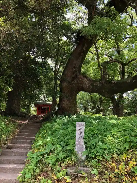 大汝牟遅神社の自然