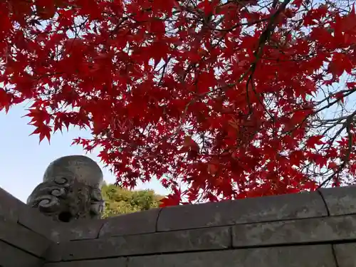 真言宗　善通寺派　薬王寺(香川県)