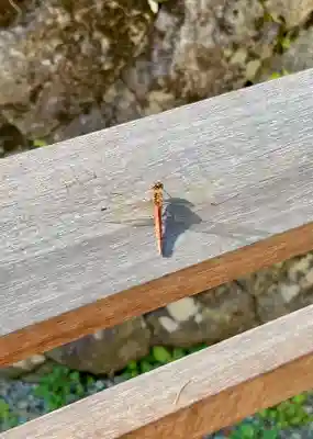 蚊里田八幡宮(長野県)