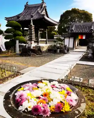 真言宗　善通寺派　薬王寺(香川県)