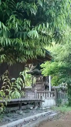 八雲神社 (通五丁目)の本殿