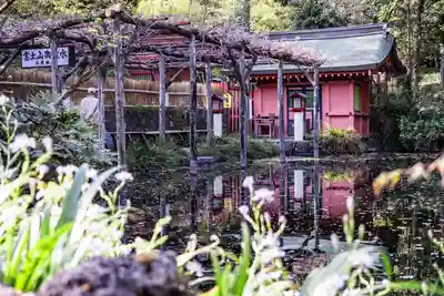富士山本宮浅間大社(静岡県)
