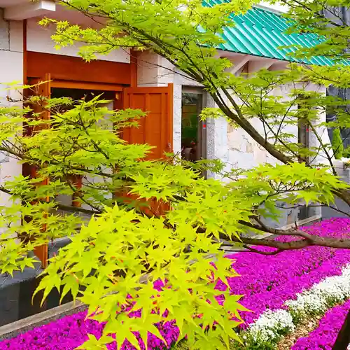 寿量山　速成寺の自然