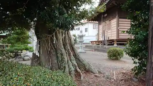 八坂神社(静岡県)