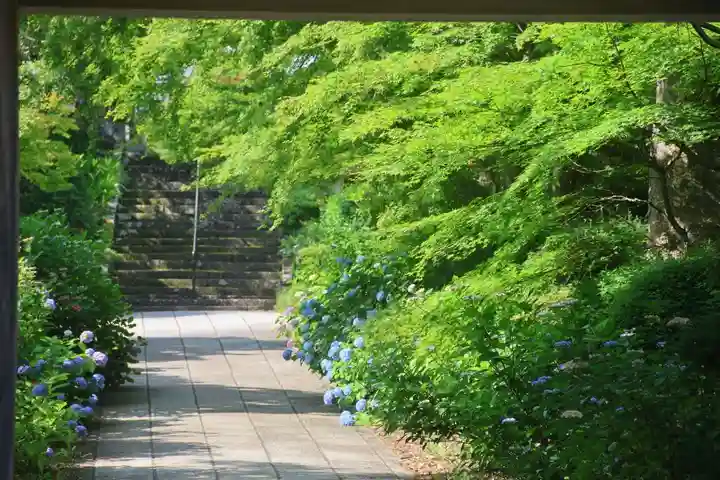 陽林寺(福島県)