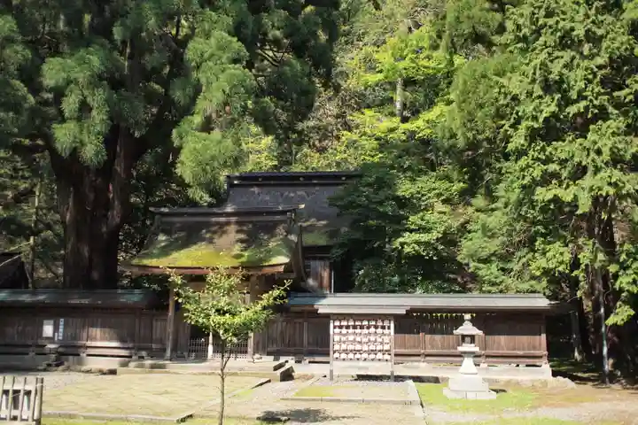 若狭姫神社(若狭彦神社下社)の本殿・本堂
