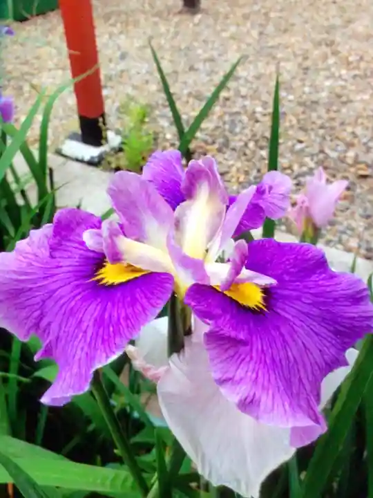 磐井神社(東京都)