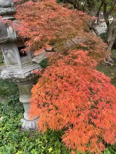 天台宗　長窪山　正覚寺の庭園