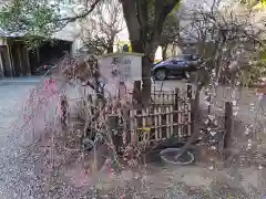 牛天神北野神社(東京都)