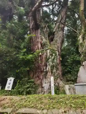 高岡神社(岡山県)