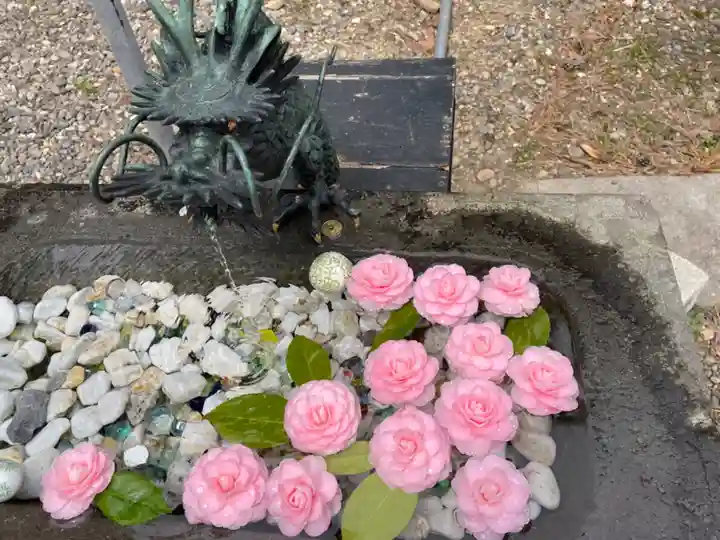 鶴若稲荷神社の自然