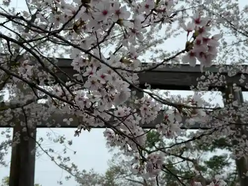 高麗神社の{uncategorized: "未分類", other: "その他", undefined: "問題あり", building: "その他建物", grave: "お墓", sacred_gate: "鳥居", guardian: "狛犬", statue: "像", buddha: "仏像", history: "歴史", nature: "自然", garden: "庭園", animal: "動物", pagoda: "塔", temizu: "手水舎", mountain_gate: "山門・神門", sanctuary: "本殿・本堂", subordinate: "末社・摂社", art: "芸術", scenery: "景色", jizo: "地蔵", ema: "絵馬", goshuin: "御朱印", omikuji: "おみくじ", items: "授与品その他", amulet: "お守り", goshuincho: "御朱印帳", eats: "食事", festival: "お祭り", votive_dance: "神楽", shichigosan: "七五三参", wedding: "結婚式", experience: "体験その他", initially: "初詣", around: "周辺", anti_infection: "感染症対策"}