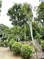 阿高神社(福岡県)