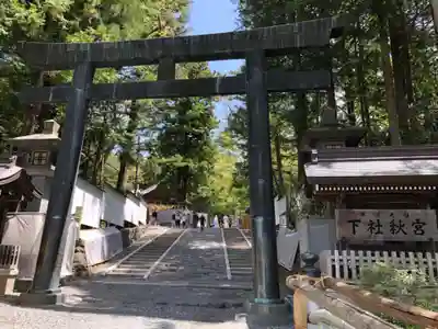 諏訪大社下社秋宮の鳥居
