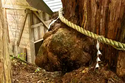 戸隠神社火之御子社(長野県)