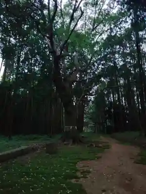 六嶽神社(下社)(福岡県)