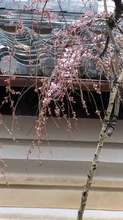 十輪寺(京都府)