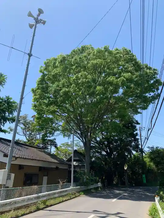 皇大神社(千葉県)