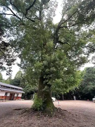 手力雄神社(岐阜県)