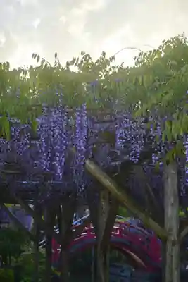 亀戸天神社(東京都)