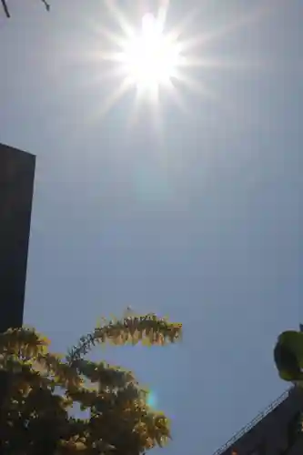 蔵前神社(東京都)